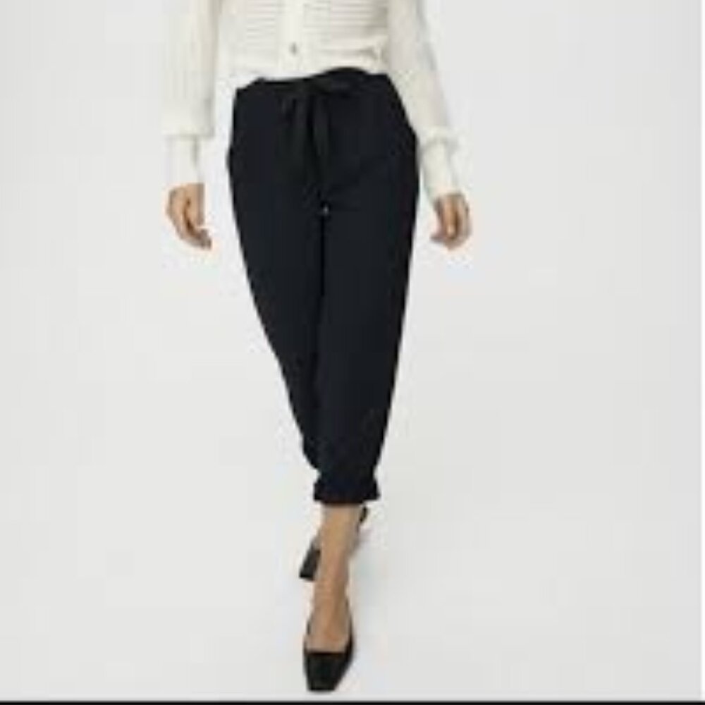 Wilfred Aritzia Allant Pant Black Pleated Button Fly Tie Waist Trousers Size 8